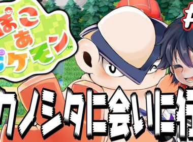マクノシタに会いに行くポケモンたちとまったりスローライフ！！！【ぽこ あ ポケモン】【ハリテヤマ】