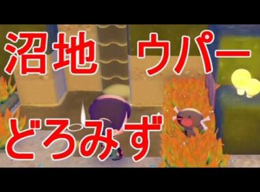 【ぽこあポケモン】ウパー入手・どろみず場所どこ・沼地の草むら生息地・ちょすい滝を作る水源switch2ゲーム実況