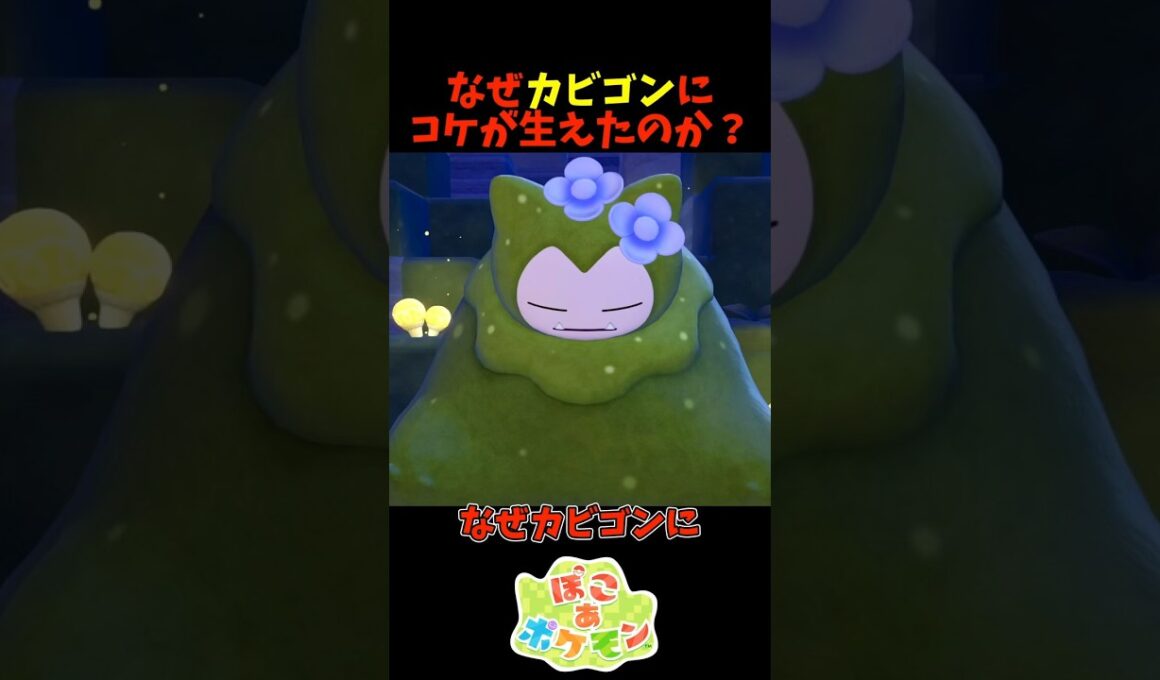 【ぽこあポケモン】なぜカビゴンに苔が生えたのか？