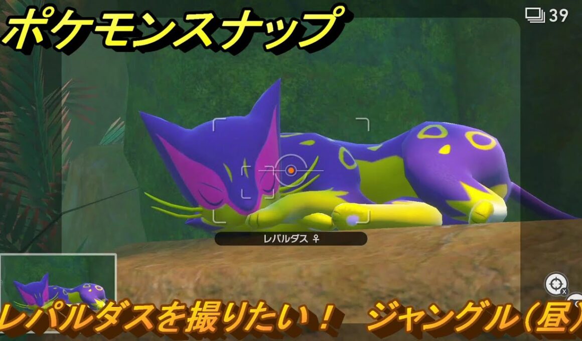 ポケモンスナップ　レパルダスを撮りたい！　ジャングル（昼）調査レベル１　＃７　【New ポケモンスナップ】