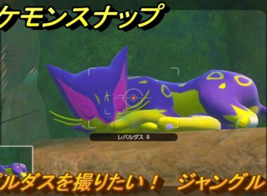 ポケモンスナップ　レパルダスを撮りたい！　ジャングル（昼）調査レベル１　＃７　【New ポケモンスナップ】