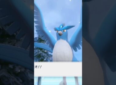 【ポケモンSV/藍の円盤】フリーザーの出現場所はここ✨#pokemon #ポケモンsv #ポケモンスカーレット #藍の円盤 #伝説ポケモン #ゲーム実況 #ゼロの秘宝 #shorts