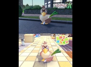 カモネギ！ ZA VS ぽこあ#pokopia #ポケモンza #ぽこあポケモン