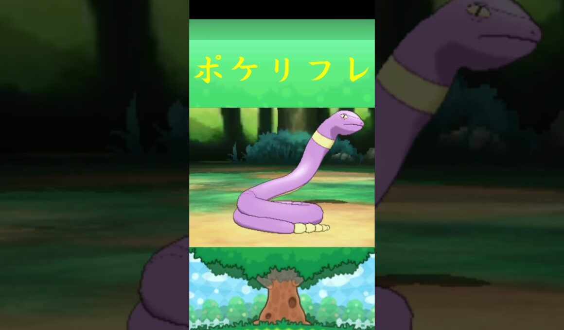 アーボ*ポケモン ポケリフレ ポケパルレ #ポケモン #Pokemon  #3DS #nintendoswitch #ポケモンsv #ポケモン #キャンプ #サンドイッチ #ピクニック