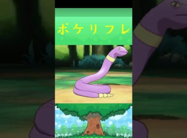 アーボ*ポケモン ポケリフレ ポケパルレ #ポケモン #Pokemon  #3DS #nintendoswitch #ポケモンsv #ポケモン #キャンプ #サンドイッチ #ピクニック