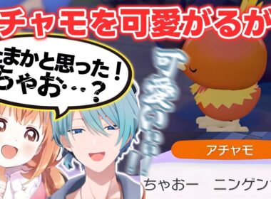 【ぽこあポケモン】アチャモを可愛がり「ちゃお」に反応するたまちゃんとトラウト【雲母たまこ/渚トラウト/すぺしゃーれ/にじさんじ切り抜き】