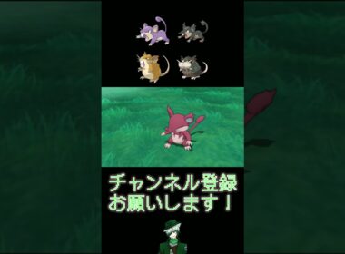 【色違い】#7 コラッタ系統編【30th】