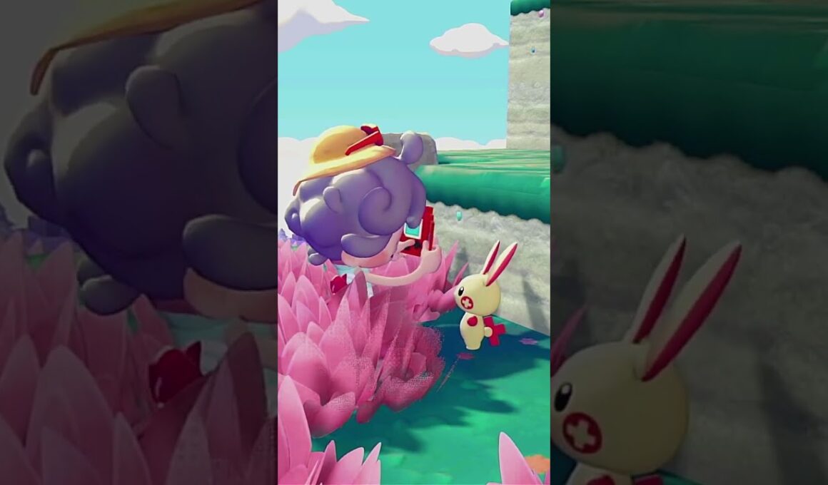 【ぽこあポケモン】かわいいコンビ！ プラスル と マイナン とともだちに #ぽこポケ