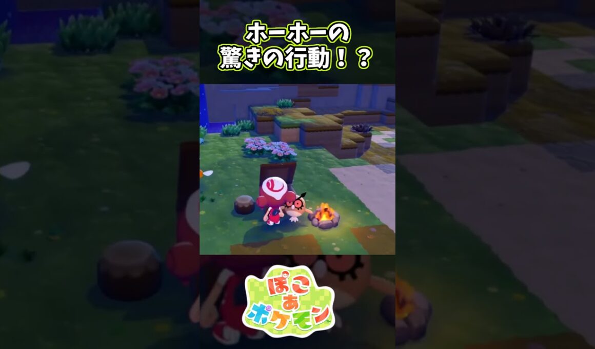とんでもない動きをするホーホー #ぽこあポケモン