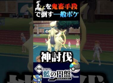 【神討伐】アルセウスを最低な手段で倒す一般ポケモンが酷すぎるww【ポケモンSV】【スカーレット・バイオレット】【うさごん】