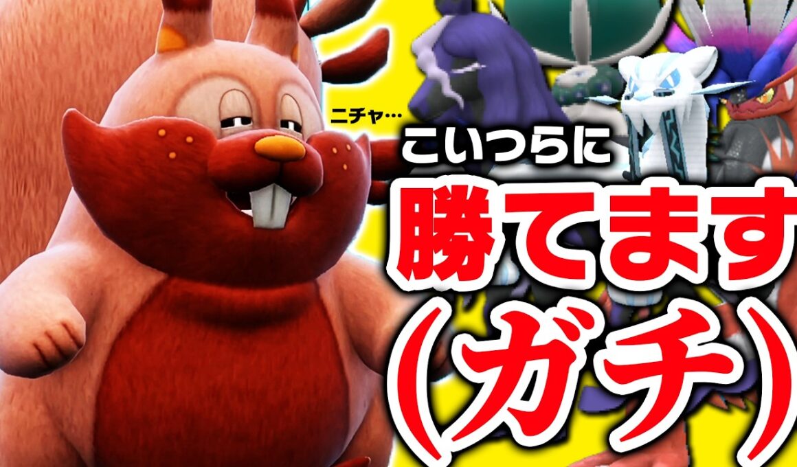 【本当です】ヨクバリス1匹で環境TOPを全部倒しました、、、ええええっっっ！？！？！？【ポケモンSV】