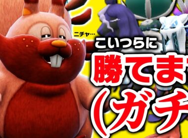 【本当です】ヨクバリス1匹で環境TOPを全部倒しました、、、ええええっっっ！？！？！？【ポケモンSV】