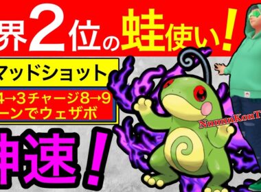 【8ターン族】ニョロトノ絶対選出でレジェンドに行った男