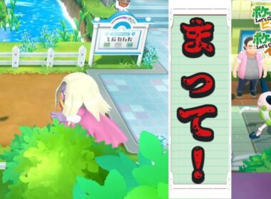 付き合った覚えありません 色違いバリヤード＆ルージュラ ミラー対戦! 【ポケモン ピカブイ】  Shiny Mirror Pokémon