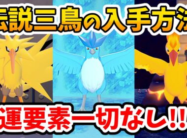 【ぽこあポケモン】伝説も一緒に暮らせる！サンダー、フリーザー、ファイヤーを好きな街に連れて帰る方法！【Switch2】ぽこ あ ポケモン Part4