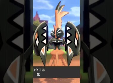 カプ・コケコ 色違い Tapu Koko【ポケモン剣盾】