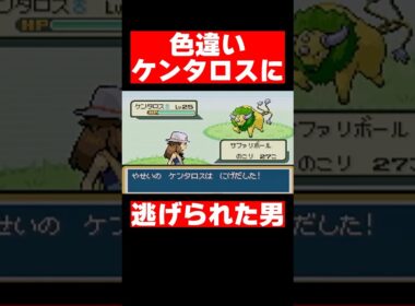 色違いケンタロスに逃げられた男【ポケモンFRLG】