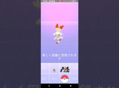 【ポケモンGO】ヒバニーGETチャレンジ。2024年9月3日。