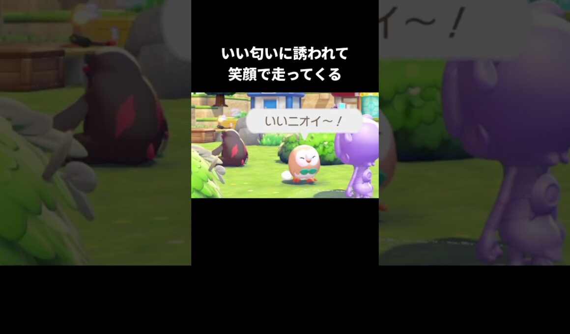 笑顔で駆け寄ってくれるモクローを見るには【ぽこあポケモン】