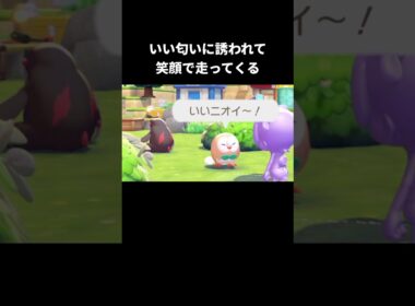 笑顔で駆け寄ってくれるモクローを見るには【ぽこあポケモン】