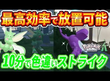 【ポケモンZA】完全放置も可能で最速！色違いストライクとヘラクロス厳選方法【ポケモンレジェンズZA】