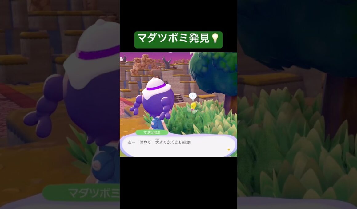 マダツボミ発見💡/ぽこあポケモン