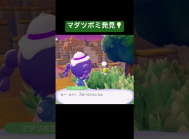マダツボミ発見💡/ぽこあポケモン