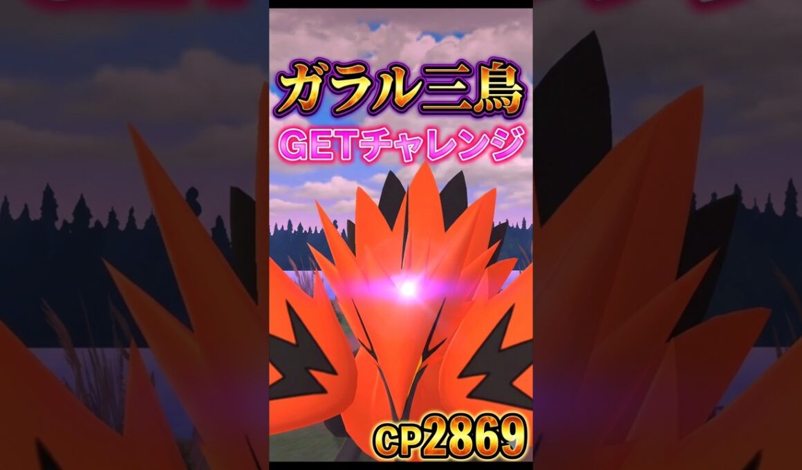 ガラルサンダーさん対戦よろしくお願いします。!!【ポケモンGO】