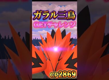 ガラルサンダーさん対戦よろしくお願いします。!!【ポケモンGO】