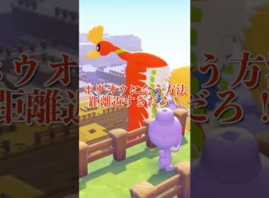 【奇跡】ホウオウに会う方法！地上波初放送だね#shorts #ぽこあポケモン