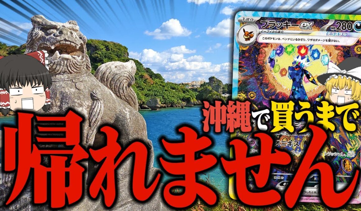 【ポケカ 112】車で沖縄中のカードショップ回って『ブラッキーex』買うまで帰れません。 【ゆっくり実況】