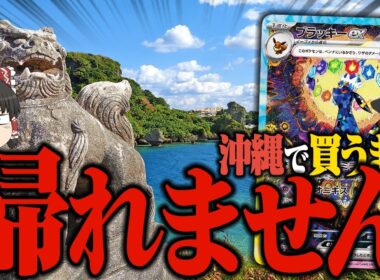 【ポケカ 112】車で沖縄中のカードショップ回って『ブラッキーex』買うまで帰れません。 【ゆっくり実況】