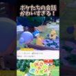 パモットとマクノシタの会話がかわいすぎる【ぽこあポケモン】