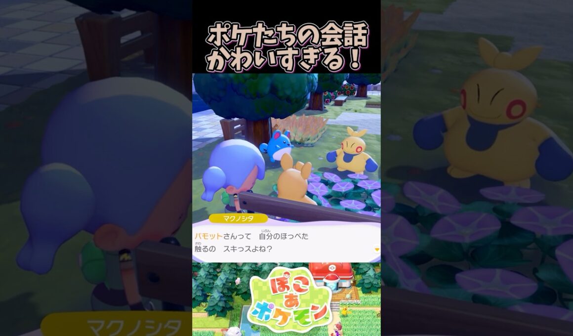 パモットとマクノシタの会話がかわいすぎる【ぽこあポケモン】