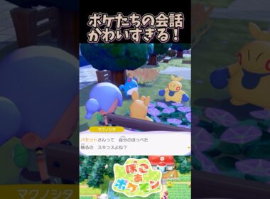 パモットとマクノシタの会話がかわいすぎる【ぽこあポケモン】