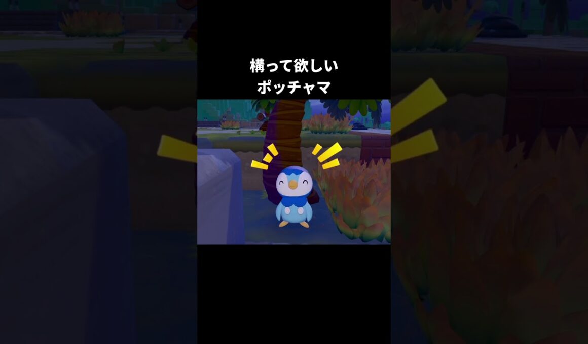 ポッチャマの表情の違い【ぽこあポケモン】#ポッチャマ#ポケモン