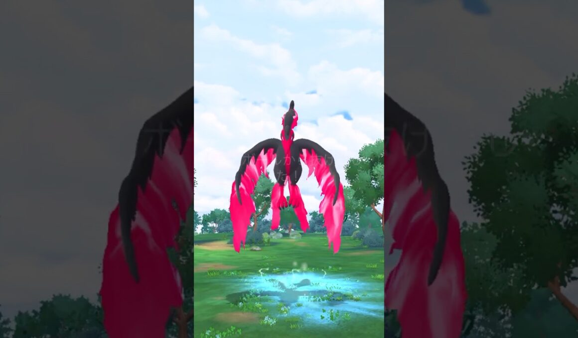 最終日の伝説ラッシュ👊ガラルファイヤー遭遇🔥🐥#ポケモンgo #pokemongo #pokemongoshorts