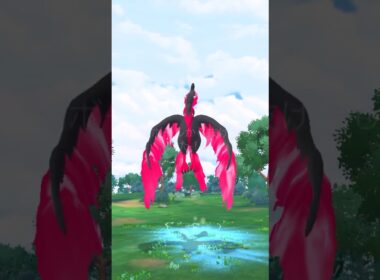 最終日の伝説ラッシュ👊ガラルファイヤー遭遇🔥🐥#ポケモンgo #pokemongo #pokemongoshorts