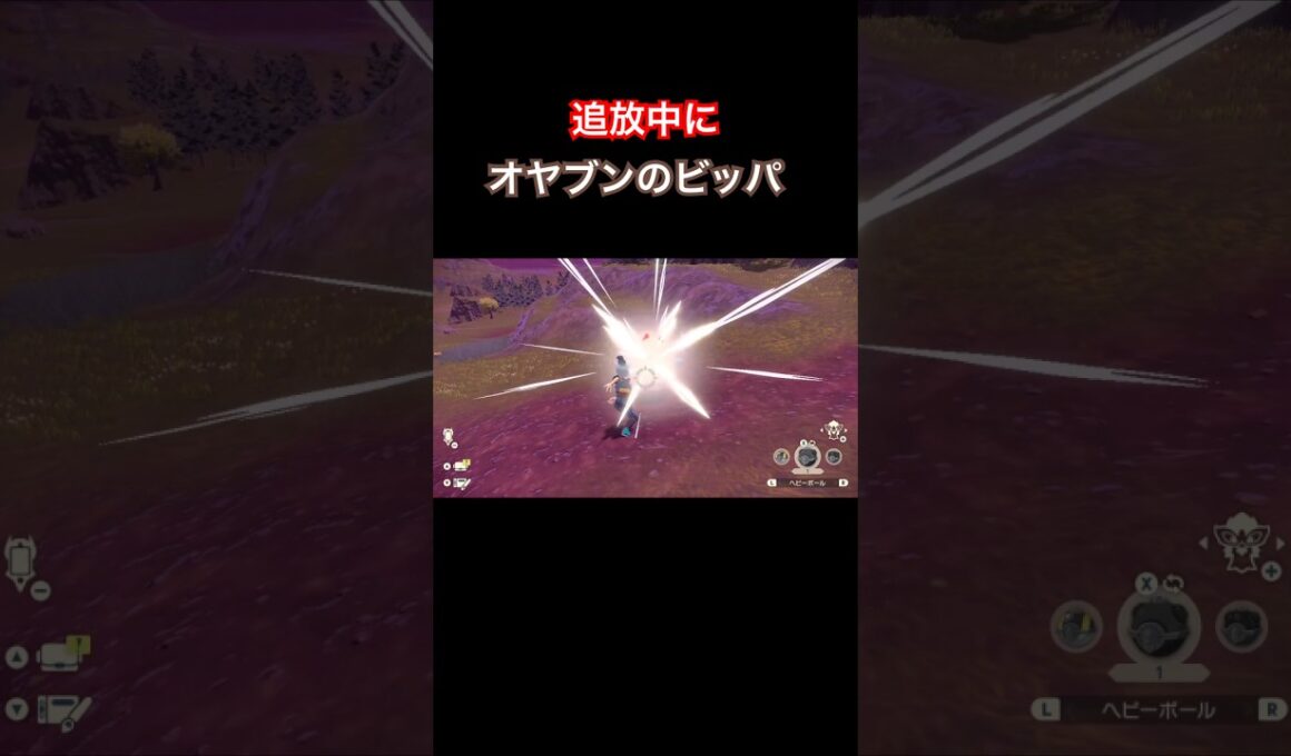 【レジェアル】追放先の黒曜の原野でオヤブンのビッパ捕獲　#shorts