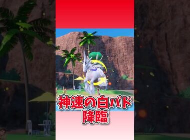 アチャモにパーティ全滅させられた話　#ゆっくり実況 #ポケモン #ポケモンsv