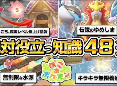 【ぽこあポケモン攻略】街づくりに役立つ情報48選。生息地、環境レベル（すみごこち）、農業と料理、ゆめしま、伝説のポケモン、エンテイ、ライコウ、スイクン