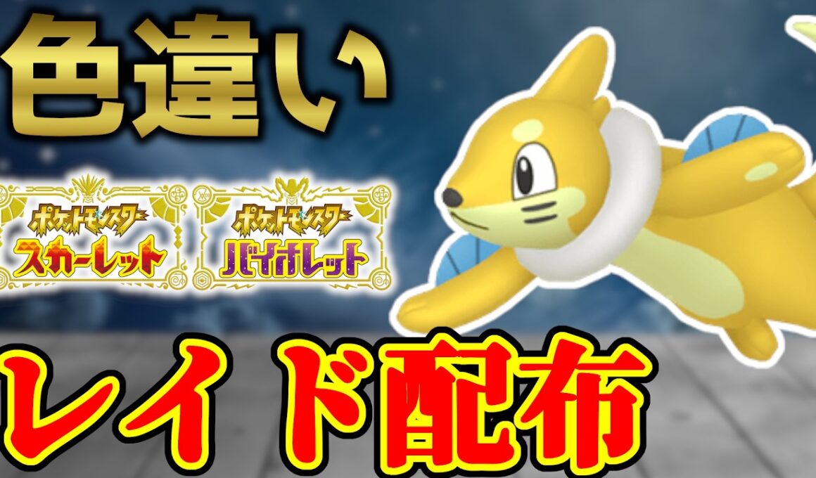 【3年前の怨念】 色ブイゼル 色レイド配布 shiny raid 【ポケモンSV】#参加型配信