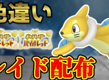 【3年前の怨念】 色ブイゼル 色レイド配布 shiny raid 【ポケモンSV】#参加型配信