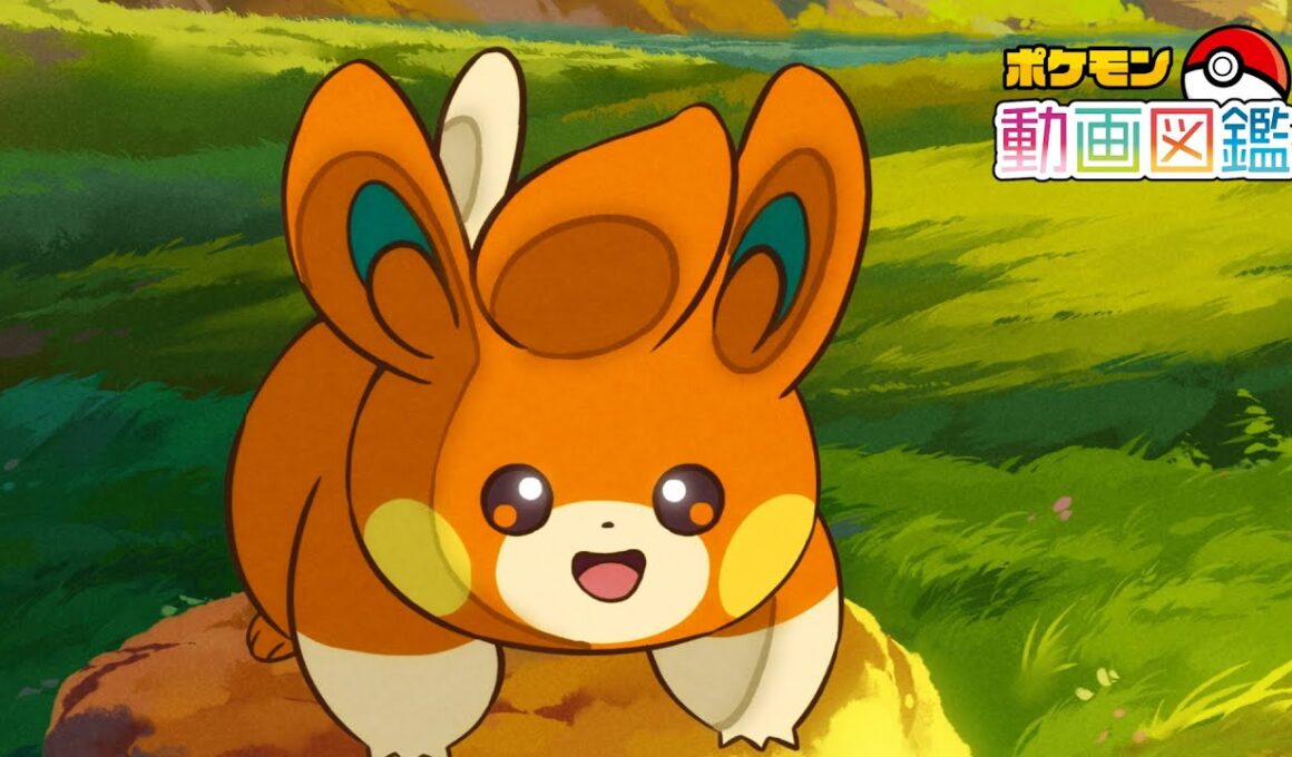 【公式】「ポケモン動画図鑑」No.0921 パモ
