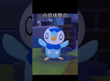 白目状態のポッチャマ #ポケモン #ぽこあポケモン #ポッチャマ