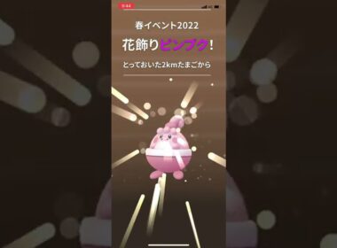 【ポケGO】花飾りを付けたピンプクが2kmたまごから 2022春イベント ポケモンGO