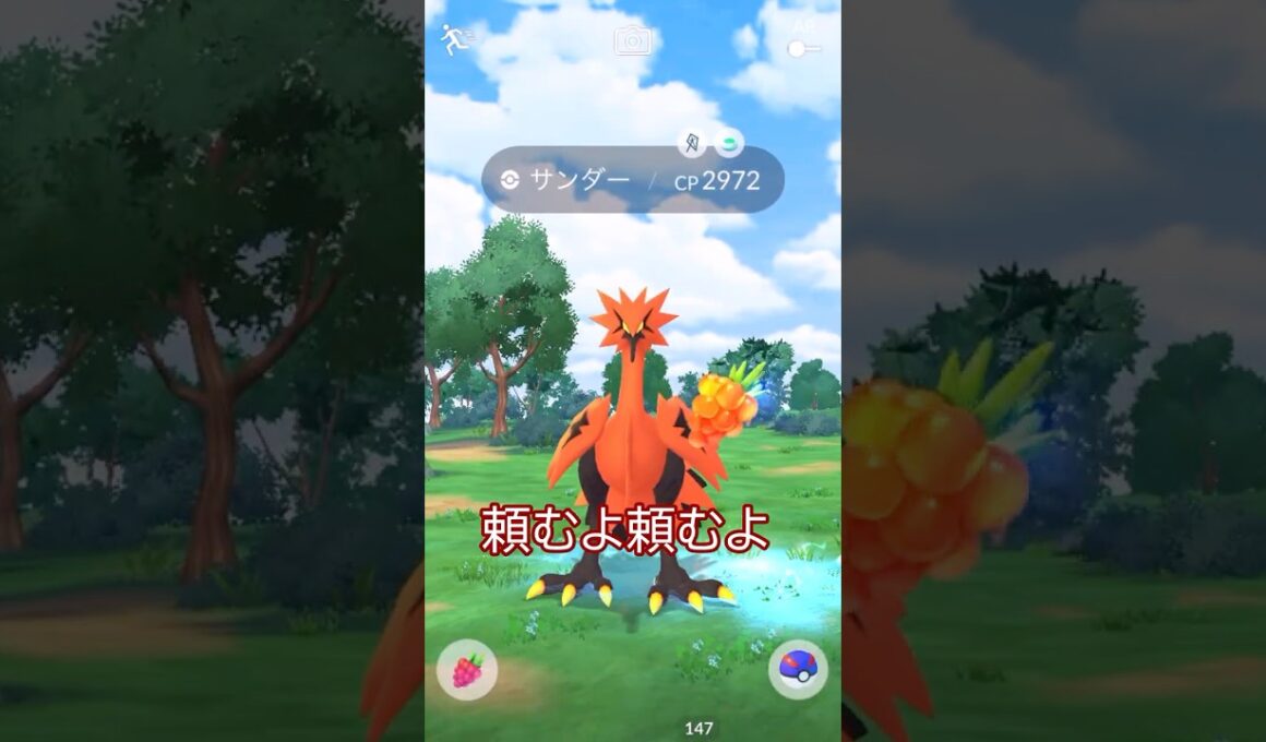 伝説ラッシュ💦ガラルサンダー遭遇編⚡🐥#ポケモンgo #pokemongo #pokemongoshorts