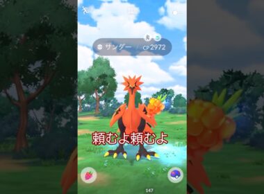 伝説ラッシュ💦ガラルサンダー遭遇編⚡🐥#ポケモンgo #pokemongo #pokemongoshorts