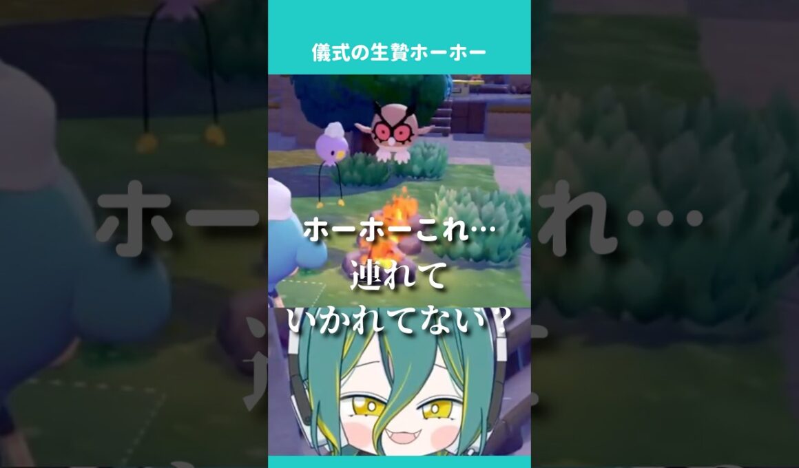 🌱不憫すぎるホーホー #ぽこあポケモン #ポケモン #ゲーム実況 #切り抜き #vtuber #ノルジュが生えた