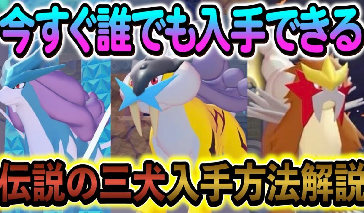 [ぽこあポケモン]伝説ポケモンのエンテイ・ライコウ・スイクンの入手方法を解説します！